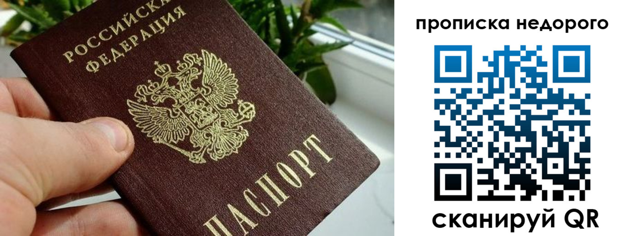 прописка для кредита в Рыбном